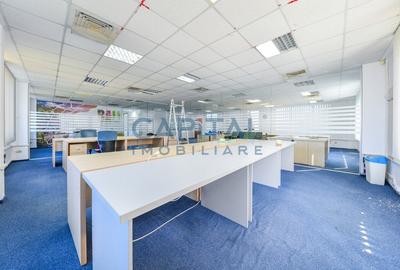 Birou de inchiriat, Taietura Turcului, 600mp, Comision 0% - 8