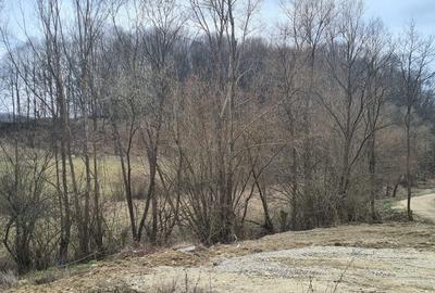 Spațiu comercial, în Bascov - 1