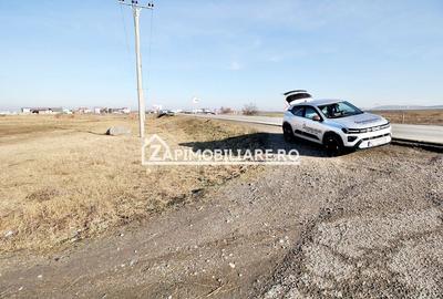 Teren intravilan 20.347 mp in Ungheni - 5