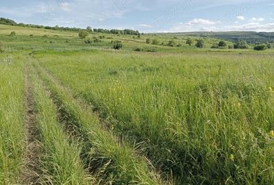 Teren de 1300 mp, în Chinteni - 1