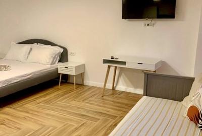 Garsonieră în Sebastian - 9