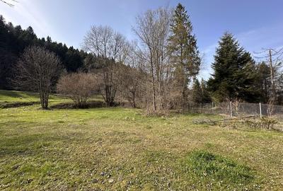 Teren de 6888 mp, în Putna - 2