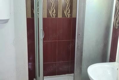 Vand proprietate pe Transapuseana - 1