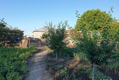 Spațiu comercial, în Fântânele - 1