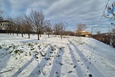 Teren 2000 mp DN2 Lilieci 25Euro/mp langa Bucuresti - 5