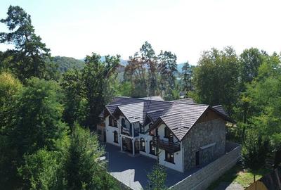 Pensiune de vanzare in Sovata Conacul Cosalina - 7