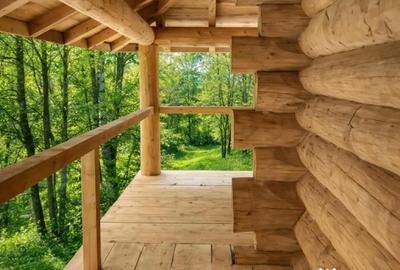 Casă cu 2 camere cu Teren 2957 Mp în Zărnești - 1