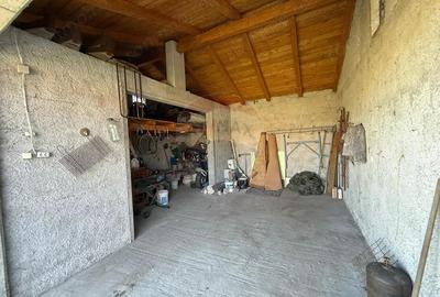 Casa Pielesti Teren 1624 mp - 14