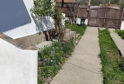 Casă cu Teren 1800 Mp în Central - 7