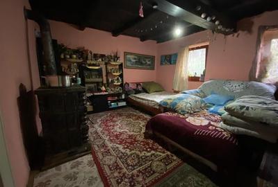 RECO Casa in  Rosiori Vaida 3cam 18km de Oradea - 6