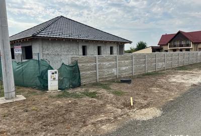 Casa individuala Peciu Nou - 5