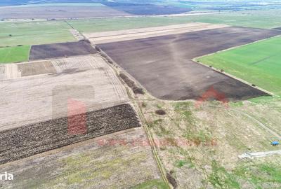 Teren de 70000 mp, în Șura Mică - 6