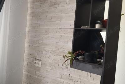 Casă cu 2 camere în Dumitrana - 5