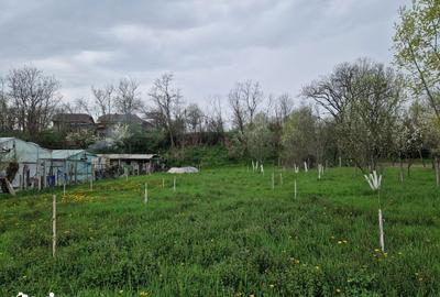 Teren de 1809 mp, în Moțăieni - 7