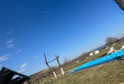 Casa 3 dormitoare, 128mp, 4750mp teren, piscina, cuptor de paine , Casolt - 3