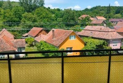 Apartament cu 3 camere în Livezile - 4