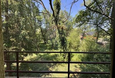 Casă cu 4 camere cu Teren 1300 Mp în Paltin - 3