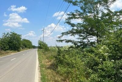 Teren Construcții extravilan de 500 mp, în Ordoreanu - 4