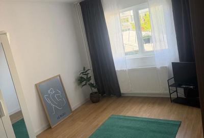 Garsonieră decomandată în Malu - 2