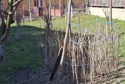 Casă cu 2 camere în Dâmbul Rotund - 8