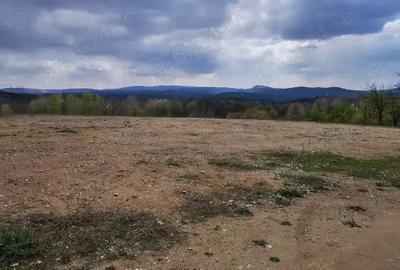 Teren de 26500 mp, în Calea Caransebeșului - 8