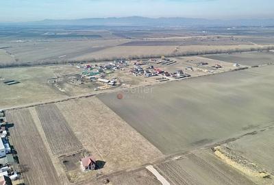 Teren Extravilan, P.U.Z. inceput - 18