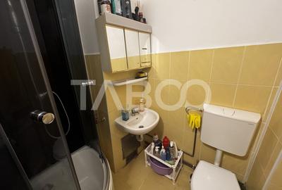 Apartament cu 4 camere decomandat, mobilat în Cisnădie - 13