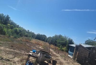 Seaca de Camp, jud. Dolj - 10