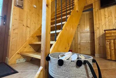 Vila de vanatoare in Santimbru-Bai - 17