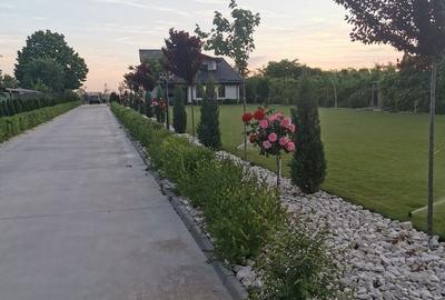 Casă cu 4 camere în Ulmi - 7