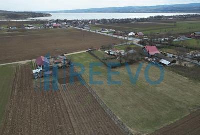 Teren de vanzare, Sat Bazga, Com. Horge?ti, Bacau - 10