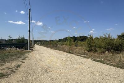 Teren Intravilan Magic Trivale - Aleea Bradului  1040 mp - 3