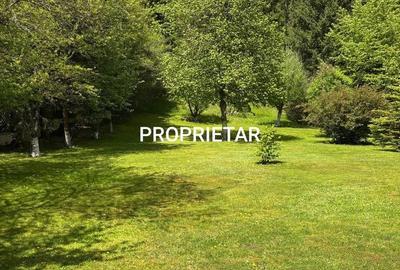 Casă cu Teren 4000 Mp în Central - 7