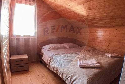Cabana de vânzare, Valeni - 13