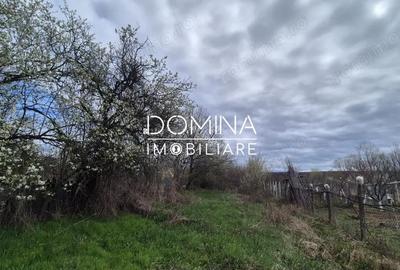 Teren de 6504 mp, în Curtișoara - 1