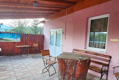 Proprietate multifunctionala,com.D-va Rosie,casa+sp.comercial+teren - 34