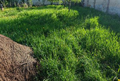 Teren Construcții intravilan de 500 mp, în Râșnov - 7