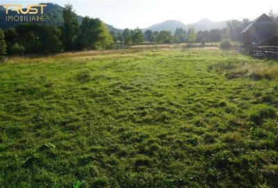 Teren intravilan Bistrita Birgaului, schimb cu apartament - 11