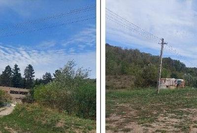 Teren Filipeni, Padure, ID: R2388724 - 3