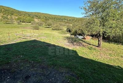 Casă individuală cu 4 camere cu Teren 800 Mp în Florești - 5