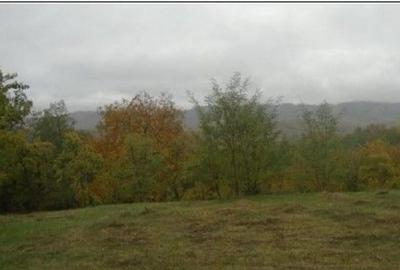 Teren faneata Vizantea Livezi; ID: R2800475 - 9