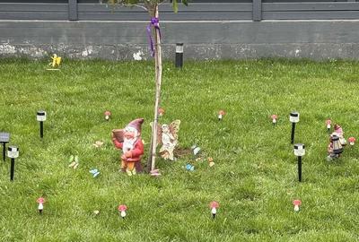 Casă cu 4 camere cu Teren 400 Mp în Cârcea - 2