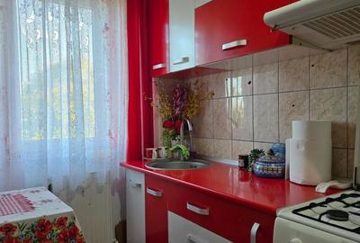 Apartament 3 camere in Deva, zona Minerului - 8