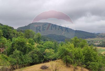 Casa de vacanta cu 6 camere de vanzare Suncuius - 17