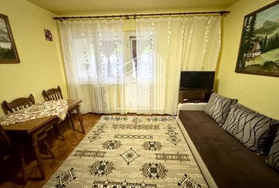 Apartament cu 2 camere semidecomandat, mobilat în Botizului - 3