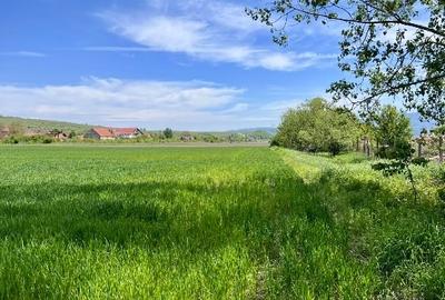 Teren Construcții intravilan de 1150 mp, în Nord - 5