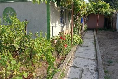 Casa batraneasca de vanzare in Sulina - 5