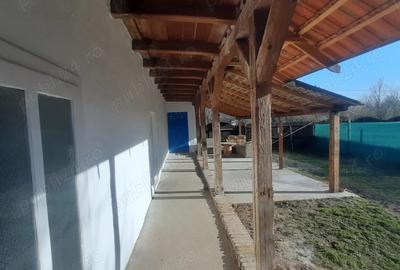 Casa renovata intre Lugoj ?i Timi?oara - 3