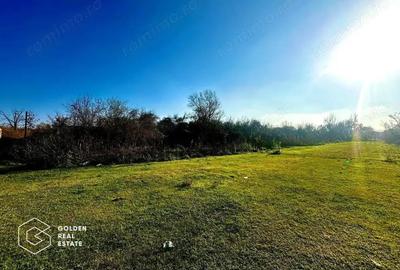 Teren de 71220 mp, în Bârsa - 8