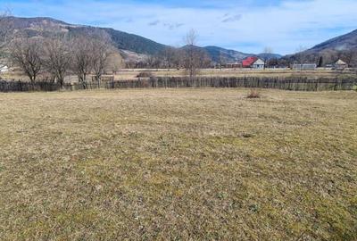 Teren de 6710 mp, în Stejaru (Pângărați) - 6